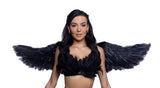 6843 - Wings