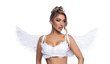 6843 - Wings