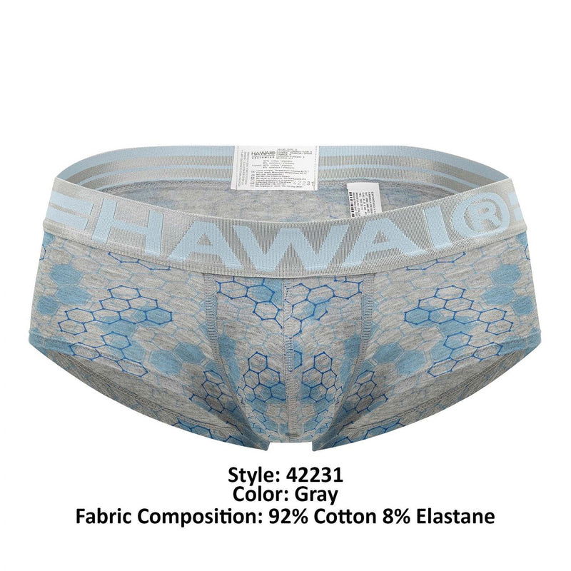 HAWAI 42231 Cotton Trunks Color Gray