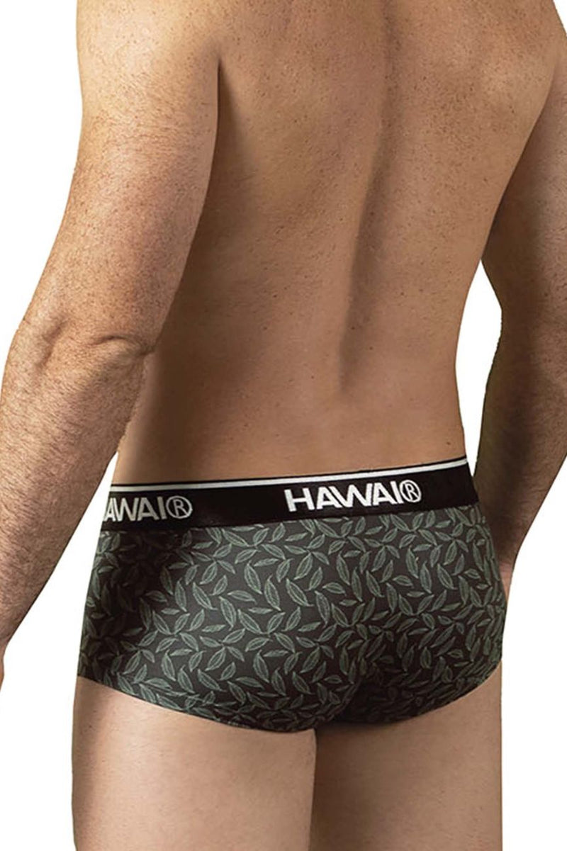 HAWAI 42380 Printed Briefs Color Green