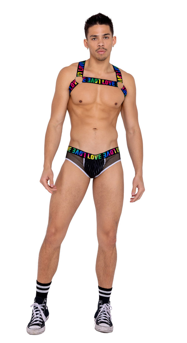 6154 - Mens Briefs with Fishnet Panel