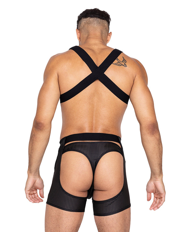 LI661 - Master Harness